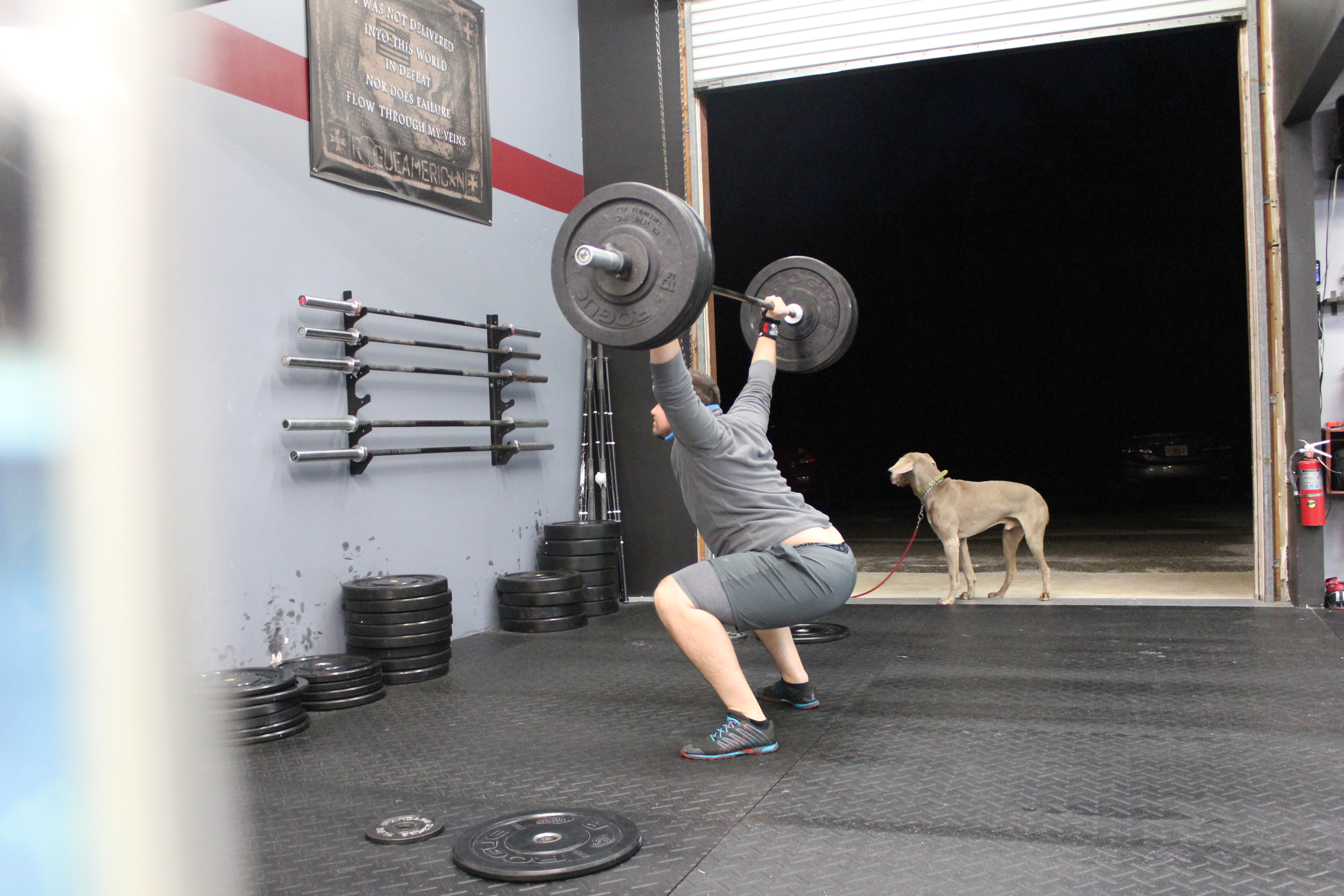 Why We Fail – Gainesville’s Wolf Den Newsletter